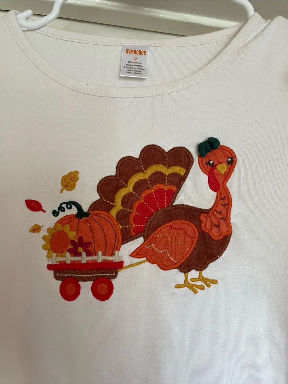 Gymboree long sleeve